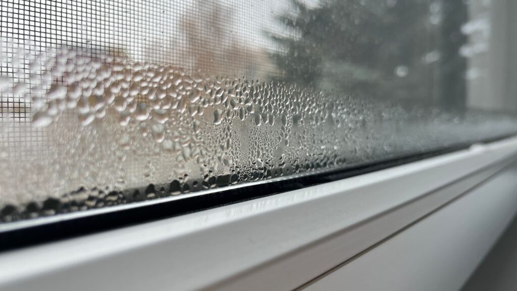 condensation on the window