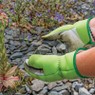 Draper 82620 Medium Duty Gardening Gloves - M additional 2
