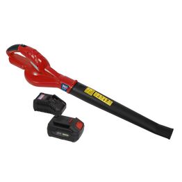 Sealey Leaf Blower Cordless 20V with 4Ah Battery & Charger CB20VCOMBO4