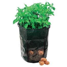 Silverline Potato Planting Bag - 360 x 510mm