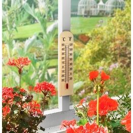 Ambassador Wooden Thermometer