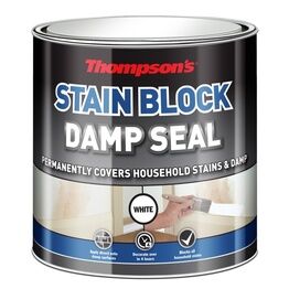 Thompson's Stain Block Damp Seal