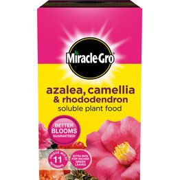 Miracle-Gro® Azalea, Camellia & Rhododendron Soluble Plant Food