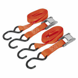 Sealey TD2525CS Cam Buckle Tie Down 25mm x 2.5m Polyester Webbing with S Hooks 250kg Load Test