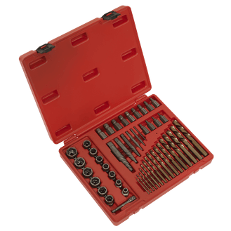 Sealey AK8149 Master Extractor Set 49pc