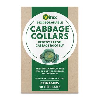 Vitax 6CC1 Cabbage Collars
