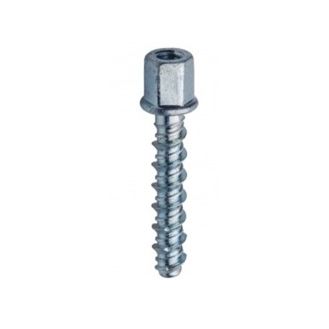 Rawlplug Concrete Screwbolt Internally Threaded Zinc Plated