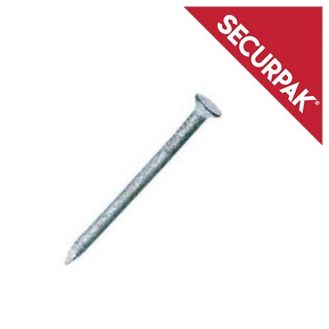 Securpak Round Wire Nails Galvanised 120g