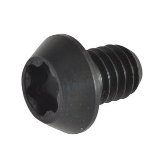 Trend RT/3.5 TORX Replacement Screws