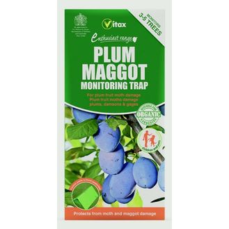 Vitax 5PM1 Plum Maggot Trap