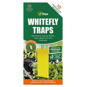 Vitax 5WFT1 Whitefly Traps