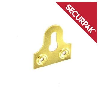 Securpak SP10089 BP Slotted Glass Plate