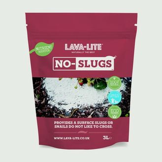 LAVA-LITE NS3LTRB No Slugs Control