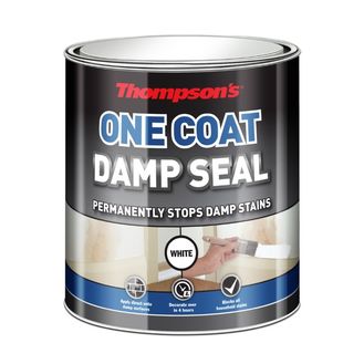 Thompson's 34578 One Coat Damp Seal