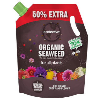 Ecofective ECF0108 Organic Seaweed