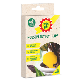 Baby Bio 86601748 Houseplant Fly Traps