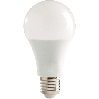 LED Classic Bulbs - Edison Screw