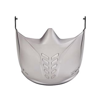 Bolle Safety Goggle Faceguard