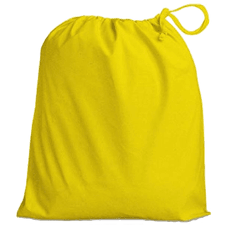 EV Face Shield Protective Bag