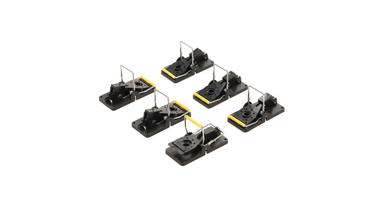 Fixman Mouse Traps Set 6pce 98 x 48mm