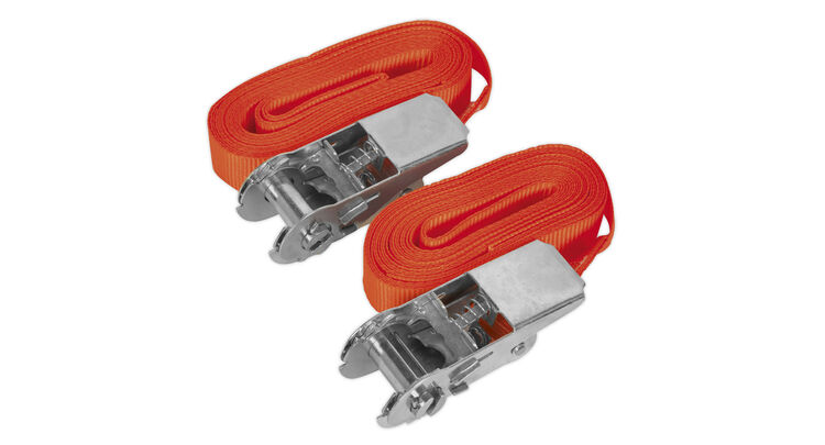 Sealey TD05045E Self-Securing Ratchet Tie Down 25mm x 4.5m 500kg Load Test - Pair
