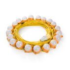 Defender 50M LED Festoon Modules additional 1