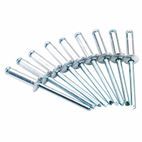 Draper 14012 50 x 4.8mm x 16mm Blind Rivets additional 2