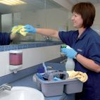 Draper 24776 Cleaning Caddy/Tote Tray additional 2
