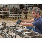 Draper 26695 Hi-Torq&amp;#174; Metric Combination Spanner Set (6 Piece) additional 4