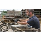 Draper 26695 Hi-Torq&amp;#174; Metric Combination Spanner Set (6 Piece) additional 6