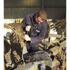 Draper 29547 Metric Combination Spanner Set (14 Piece) additional 2