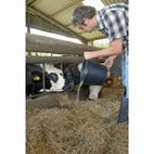 Draper 31687 Bucket - Black (14.8L) additional 3