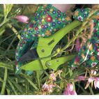 Draper 34478 Ratchet Action Anvil Pattern Secateur (190mm) additional 2