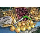 Draper 36981 Garden Dibber additional 2