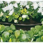 Draper 68261 12mm Bore Perforated Soaker Hose (15M) additional 2