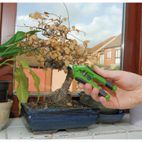 Draper 73728 Precision Straight Pruning Secateur (165mm) additional 3