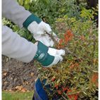 Draper Premium Leather Gardening Gloves additional 4