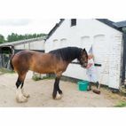 Draper 88618 Yard Broom (330mm) additional 6