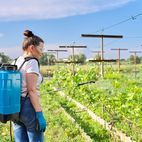 Silverline 20Ltr Backpack Sprayer 633595 additional 2