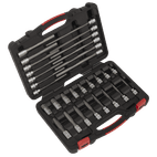 Sealey AK89000 Hex Socket Bit Set 30pc 3/8"Sq Drive - Platinum Series additional 1
