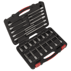 Sealey AK89002 Spline Socket Bit Set 26pc 3/8"Sq Drive - Platinum Series additional 1