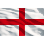 Sealey APTBG01 Toolbox Graphics Pack - England additional 2