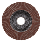 Sealey FD10040E Flap Disc Aluminium Oxide Ø100mm Ø16mm Bore 40Grit additional 3
