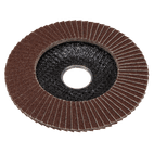 Sealey FD10040E Flap Disc Aluminium Oxide Ø100mm Ø16mm Bore 40Grit additional 4