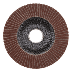 Sealey FD10060E Flap Disc Aluminium Oxide Ø100mm Ø16mm Bore 60Grit additional 3