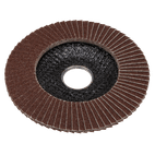 Sealey FD10060E Flap Disc Aluminium Oxide Ø100mm Ø16mm Bore 60Grit additional 2