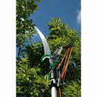 Draper 45334 Tree Pruner with Telescopic Handle, 32mm Diameter additional 2