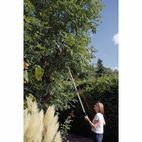 Draper 45334 Tree Pruner with Telescopic Handle, 32mm Diameter additional 4