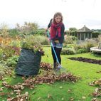 Silverline Lawn Rake - 1550mm additional 3