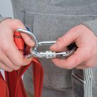 Silverline Screwgate Karabiner - 19mm Gate additional 3